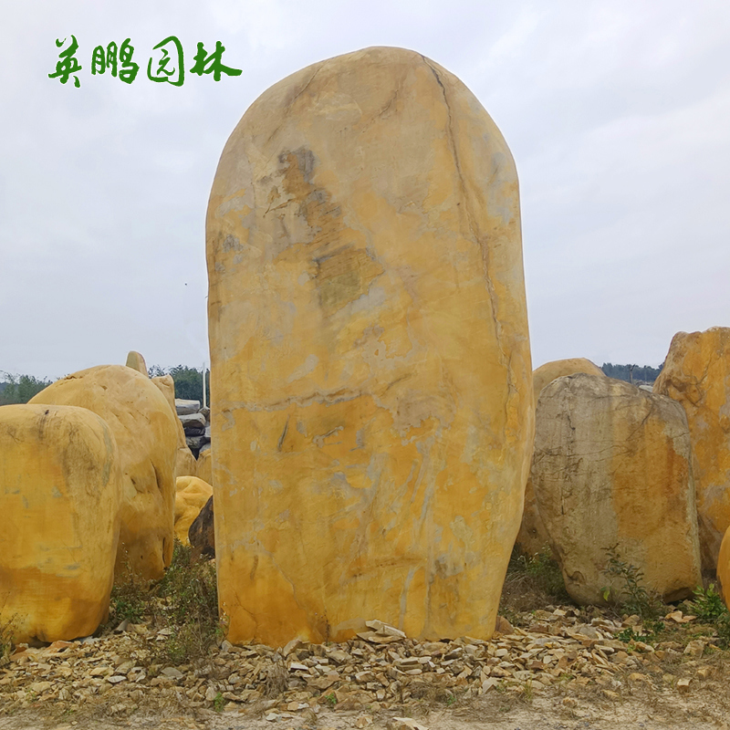 刻字招牌黃蠟石 自然校園文化石 公園景觀(guān)立式黃臘石