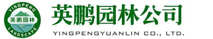 深圳市英鵬園林景觀(guān)有限公司